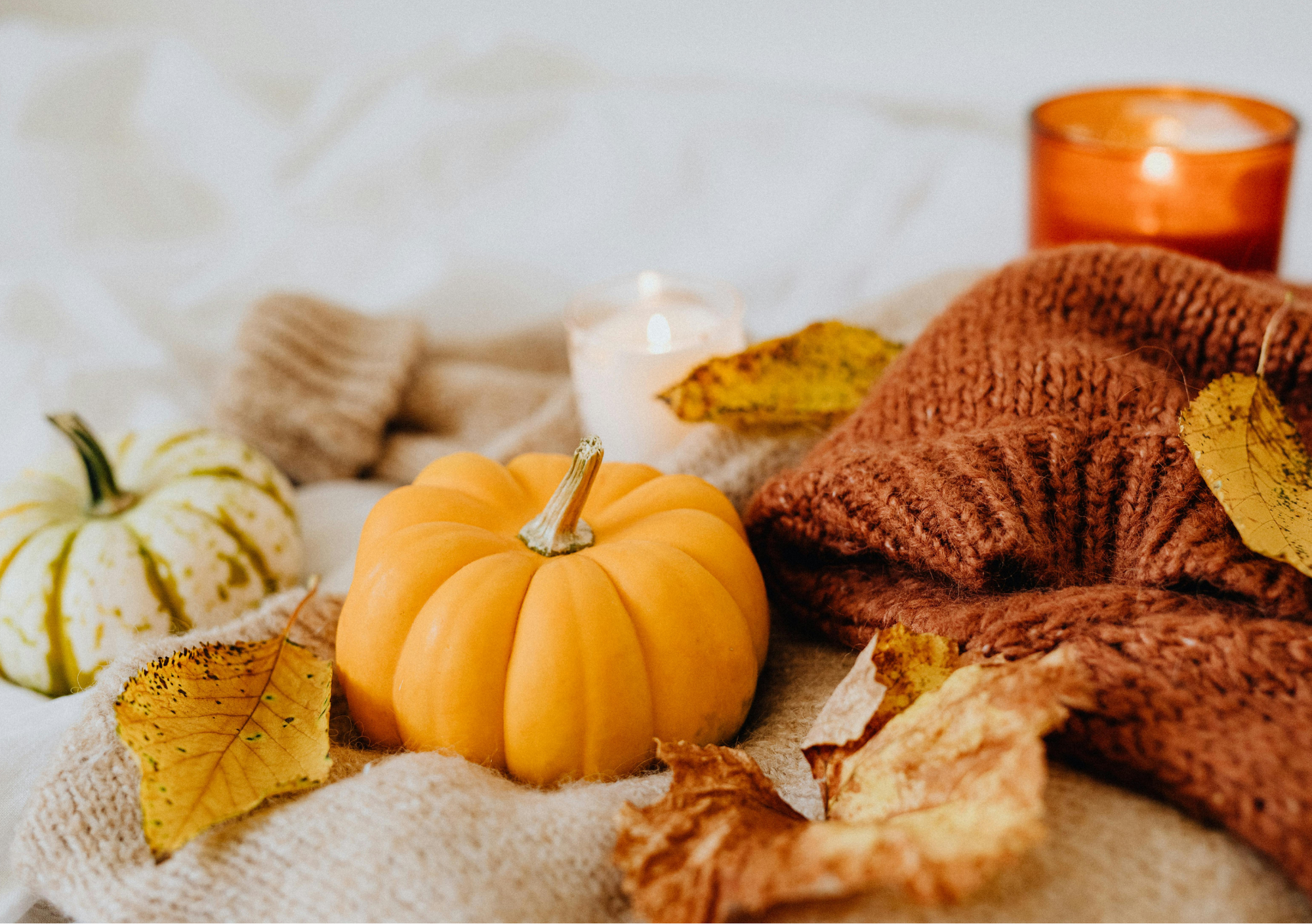 Prodotti del momento - Novembre 2025