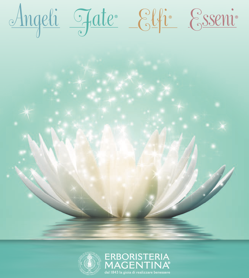 Linee Angeli, Esseni, Fate, Elfi