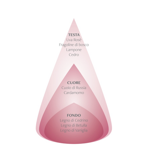 Diffusore a bastoncini - Uve dolci & Legno di Cedro - Nasoterapia