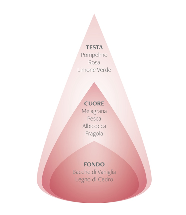 Diffusore a bastoncini - Melagrana & Ribes Nero - Nasoterapia